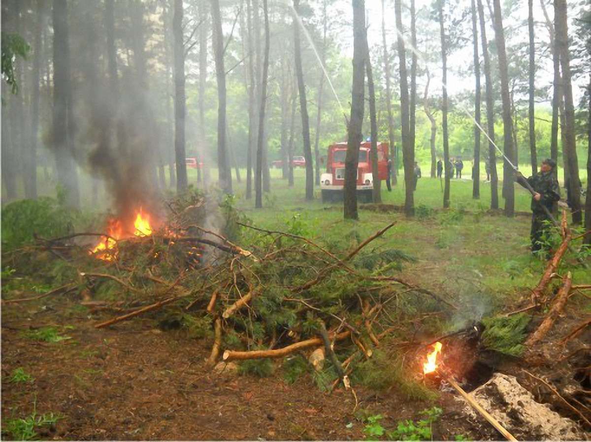 МНС: Лісову пожежу на Херсонщині ліквідовано