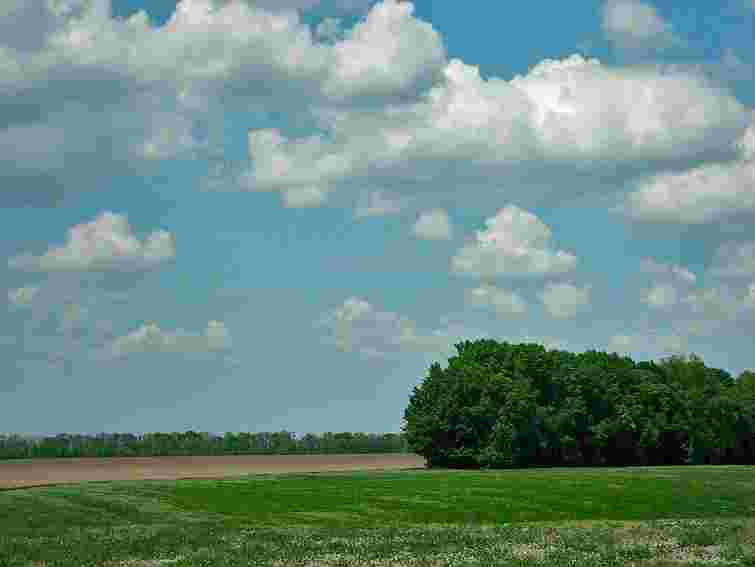 На Харківщині чиновник незаконно роздав 20 га цінних земель