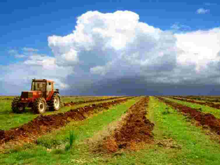 На Рівненщині підприємство захопило 62 га землі