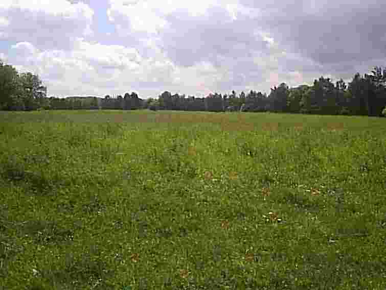 Бродівський кандидат в нардепи має 383 тис. кв. м. землі?