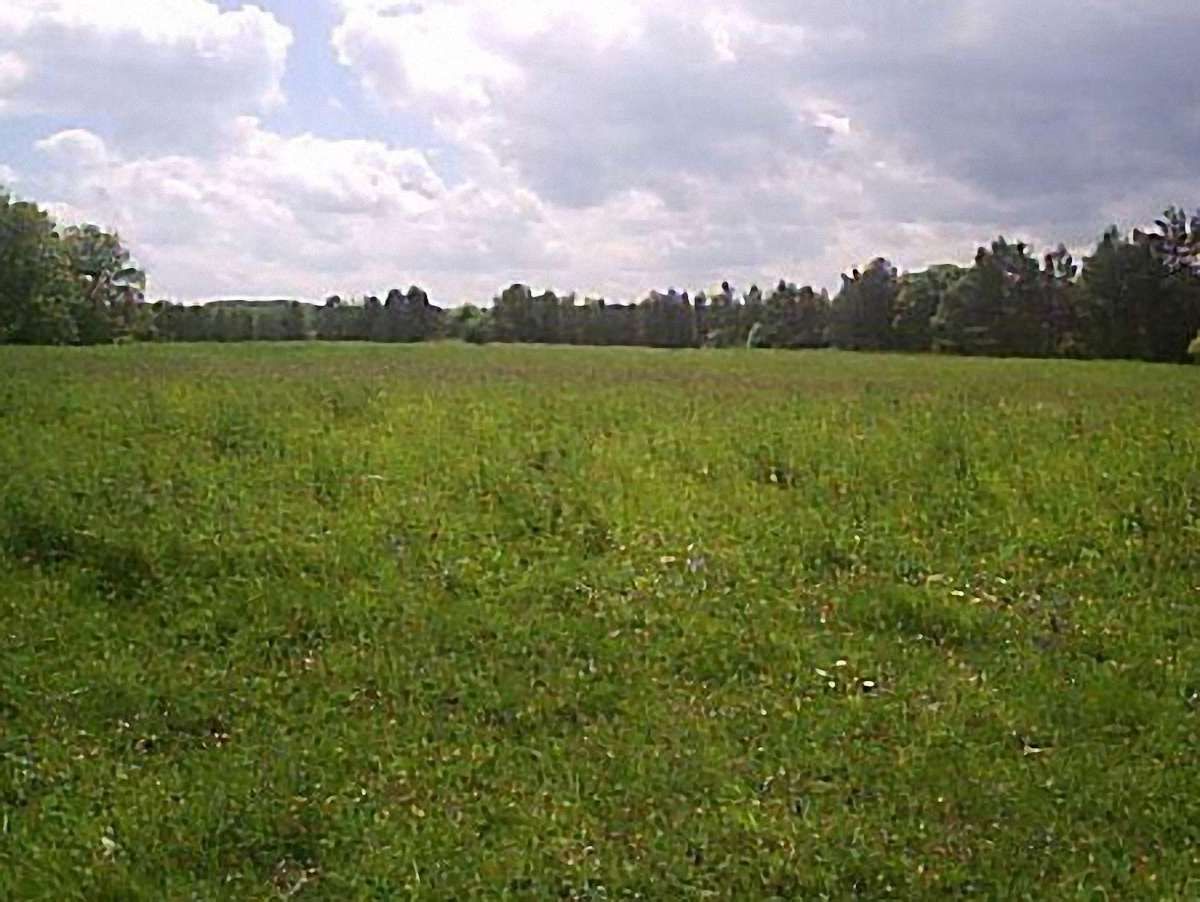 Бродівський кандидат в нардепи має 383 тис. кв. м. землі?