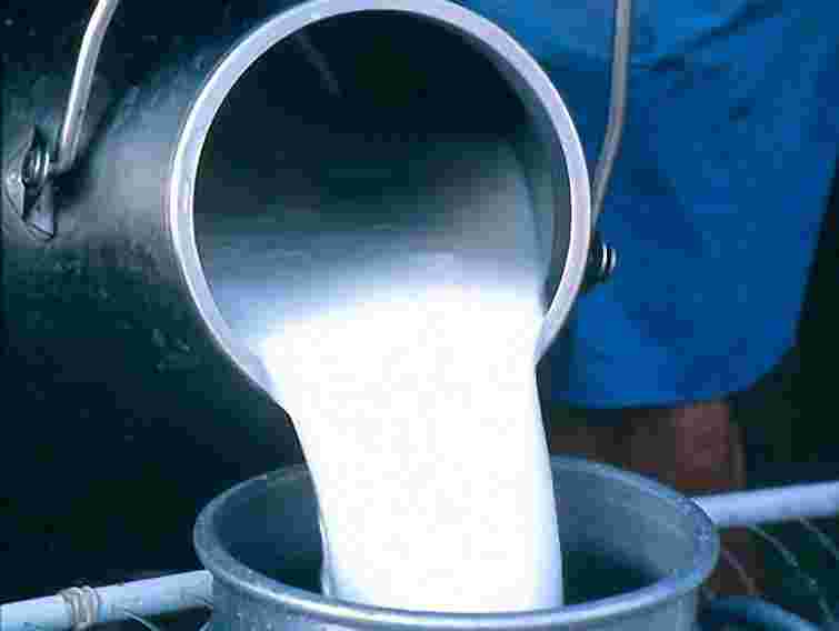 Молоко у селян закуповують за «ганебними цінами», – експерт