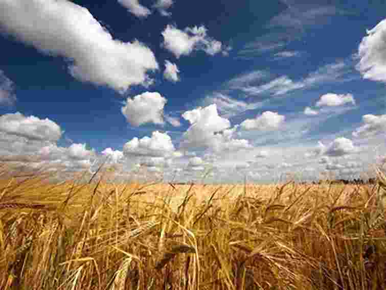 День незалежності буде теплим і ясним, – Гідрометцентр