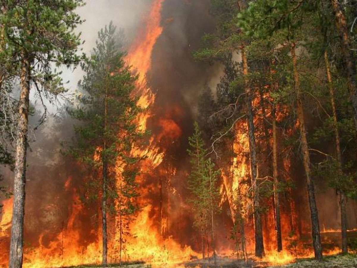 Кабмін виділив МНС 15 млн грн на гасіння пожеж