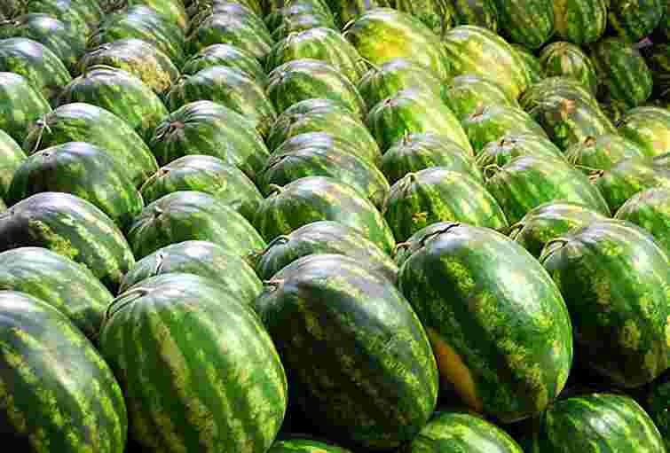 У Львові змінили місця продажу кавунів