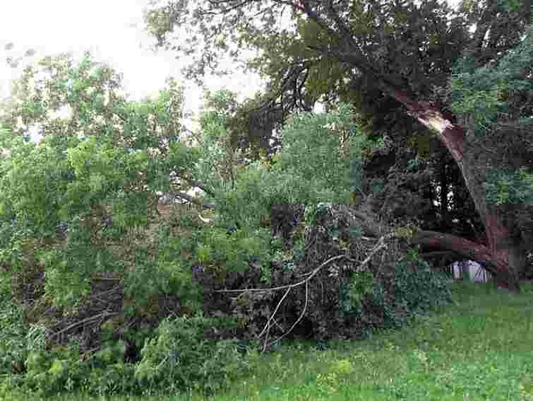 На Волині буревій пошкодив покрівлі на 57 будівлях