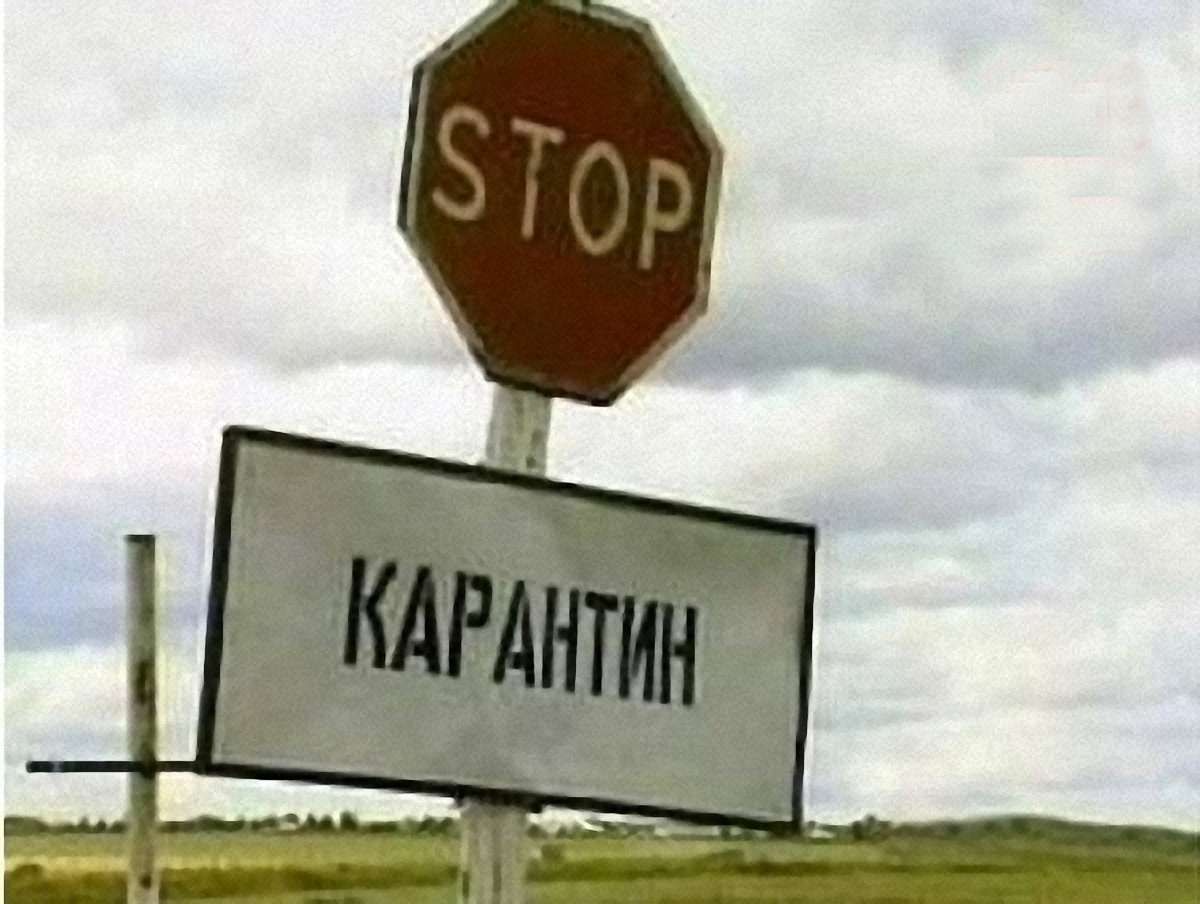 Карантин через сибірку продовжать до 5 вересня