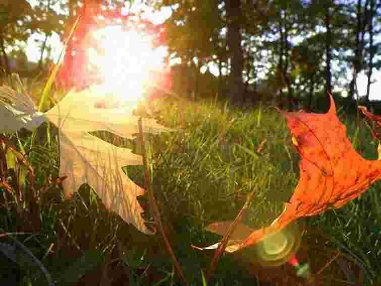 Перша половина вересня буде тепла й суха