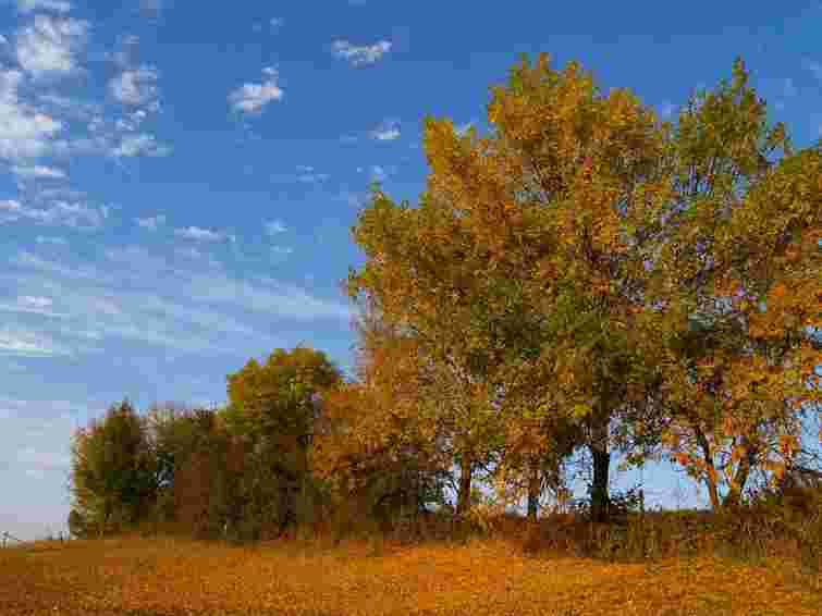 Найближчими днями в Україні прохолодно, без істотних опадів