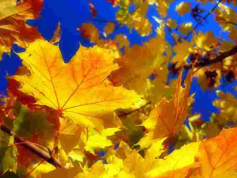 З понеділка в Україні тепло та без опадів, - Укргідрометцентр