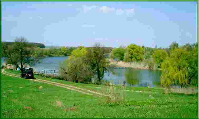 Сільський голова передав у приватну власність землі на Львівщині