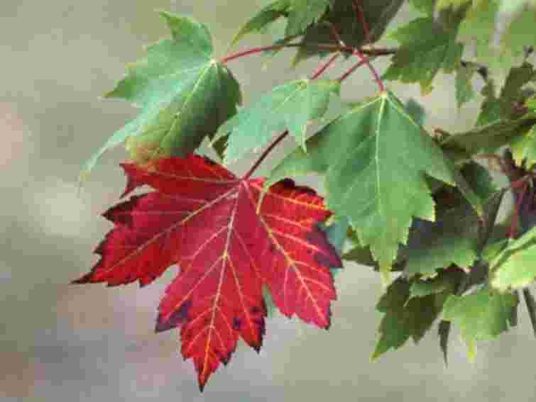 На вихідних в Україні буде до +28