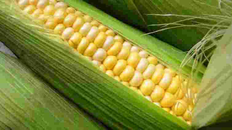 Україна візьме у Китаю позику в $3 млрд у обмін на кукурудзу