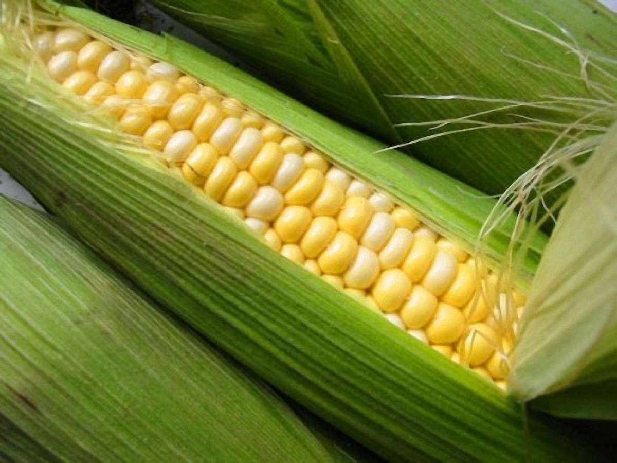 Україна візьме у Китаю позику в $3 млрд у обмін на кукурудзу