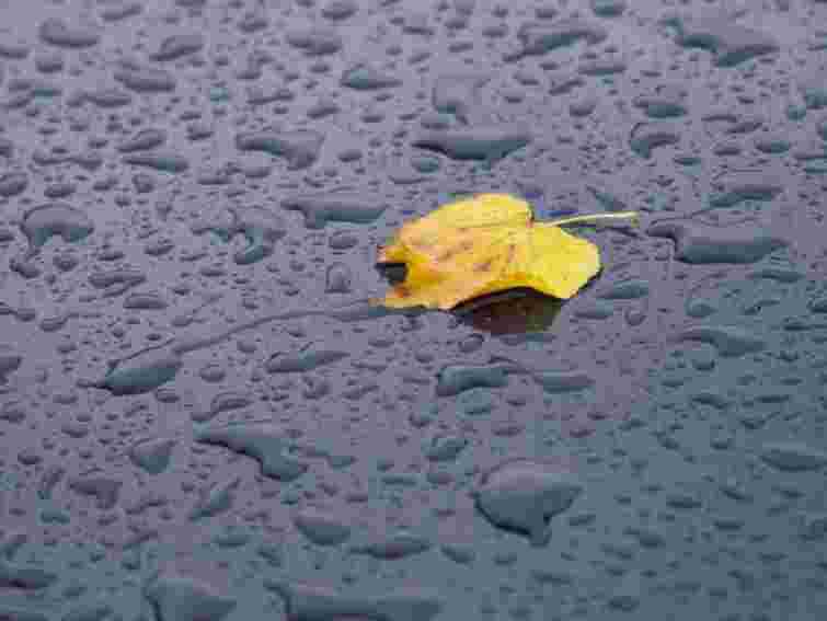 Завтра на сході України – дощ, в Карпатах – приморозки