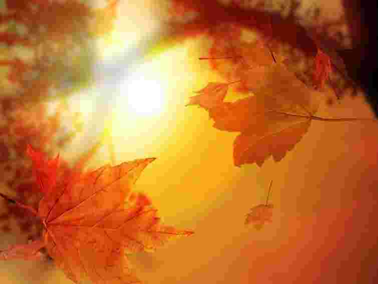 В Україні завтра - до 26° тепла