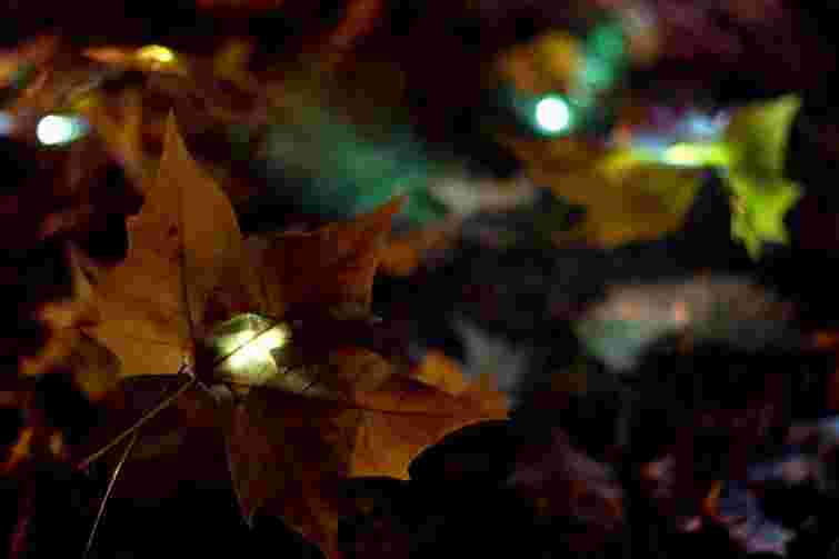 Сьогодні на Заході тепла та дощова погода