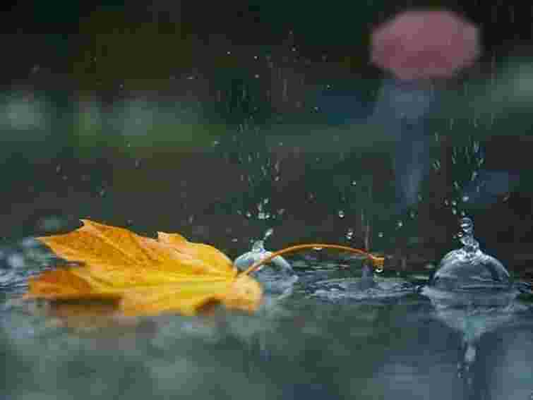 В Україні задощить з середини жовтня