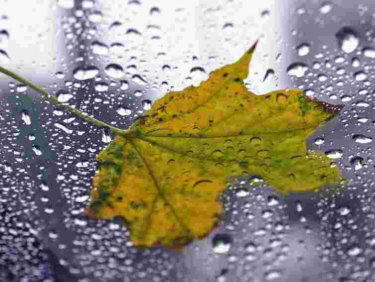 Завтра на заході України – дощ, гроза