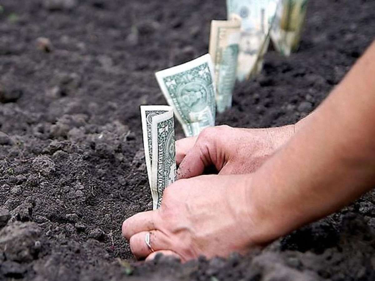 Рада не продовжила мораторій на продаж землі сільгосппризначення