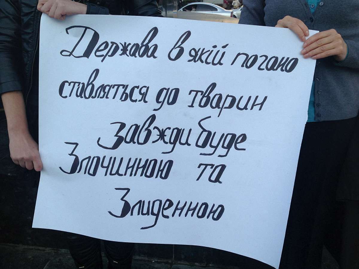 У  Львові провели мовчазний флеш-моб на захист тварин
