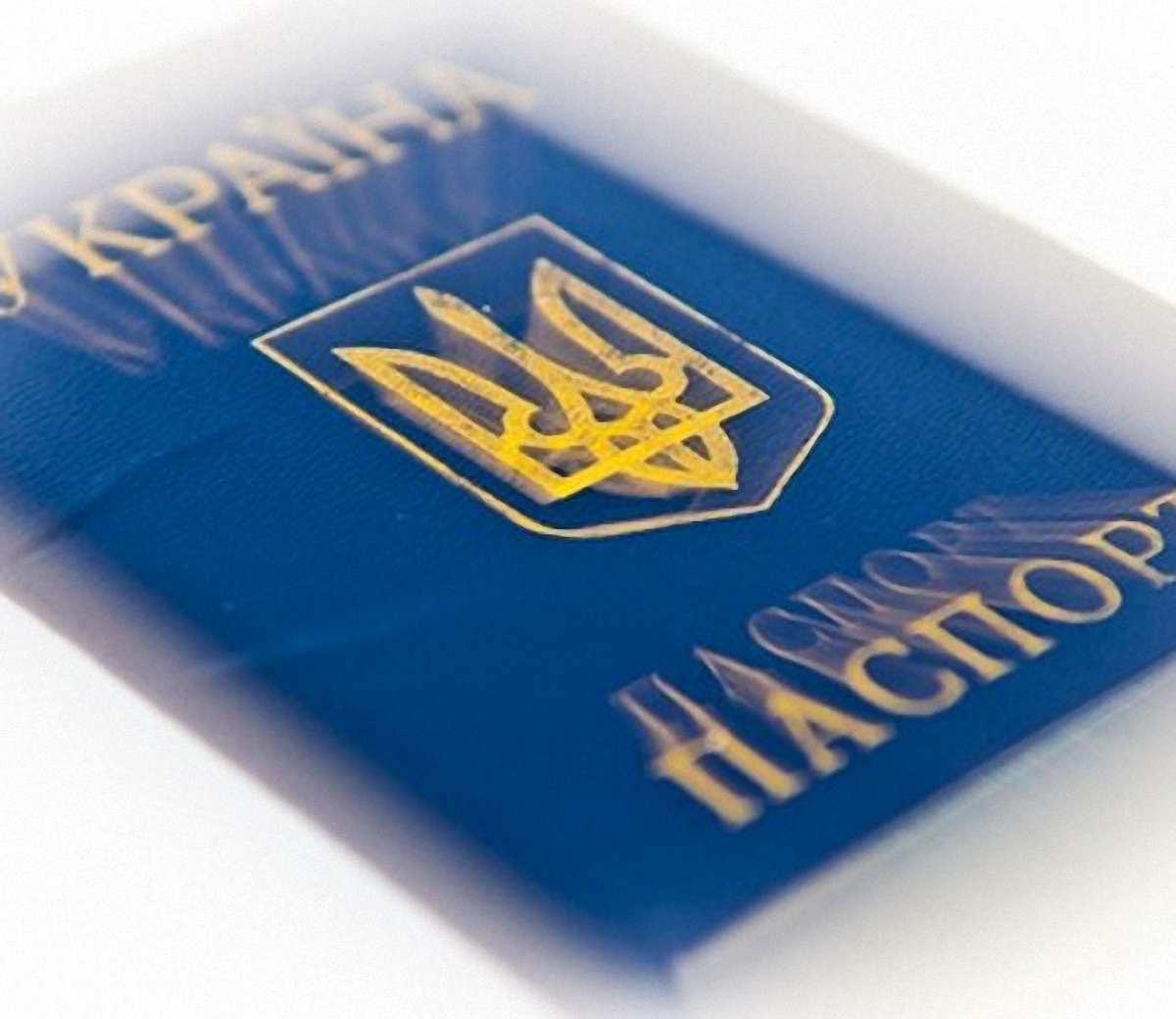 Біометричні паспорти несуть загрозу поліцейської держави, - експерт