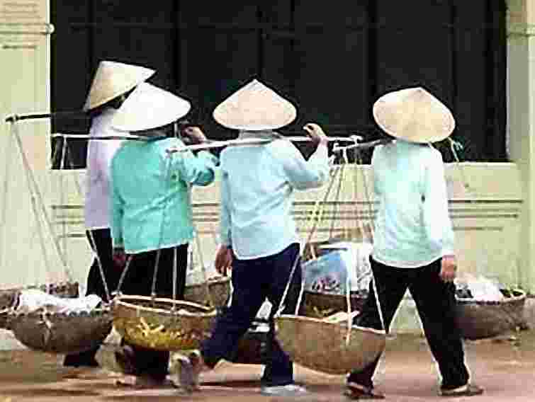 Нелегалів з В'єтнаму та їх провідників затримали на Волині