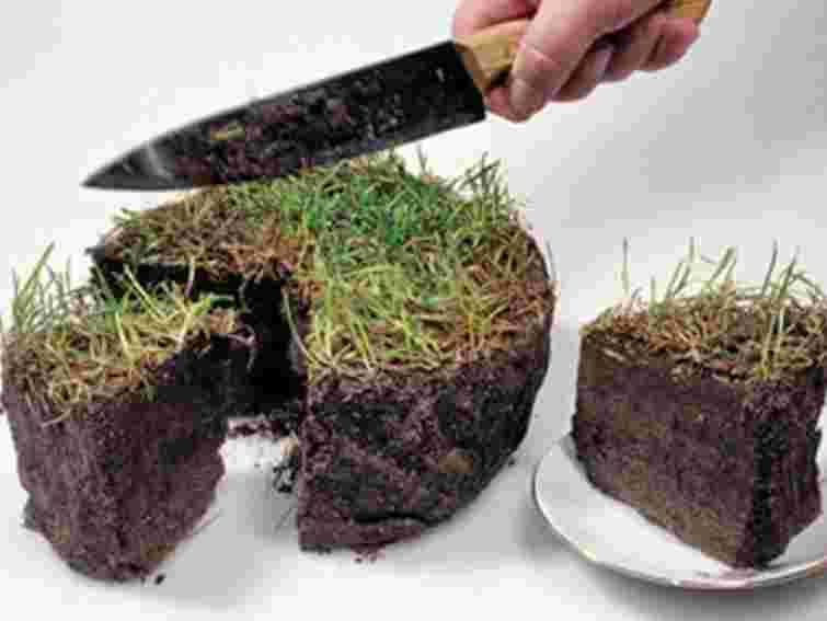 Янукович: Іноземці не можуть купувати в Україні землю сільгосппризначення