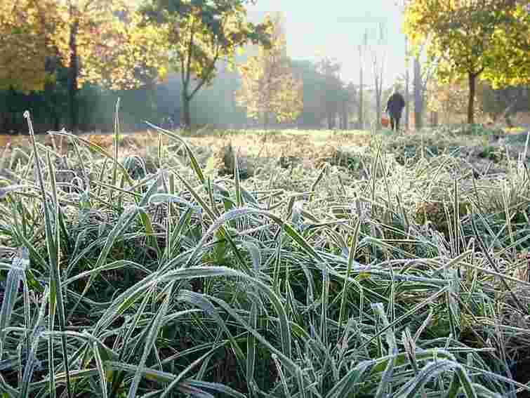 На завтра синоптики прогнозують дощі, вночі – заморозки