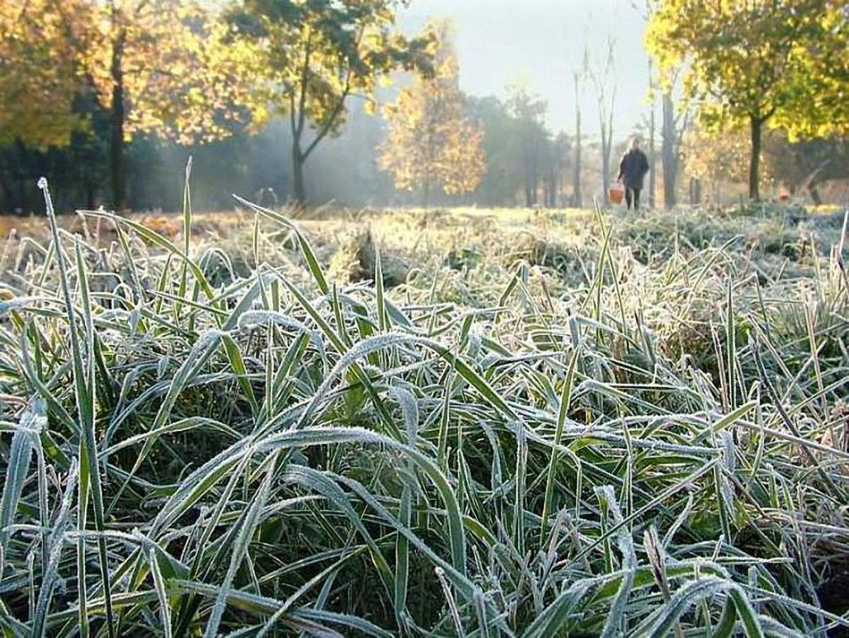 На завтра синоптики прогнозують дощі, вночі – заморозки