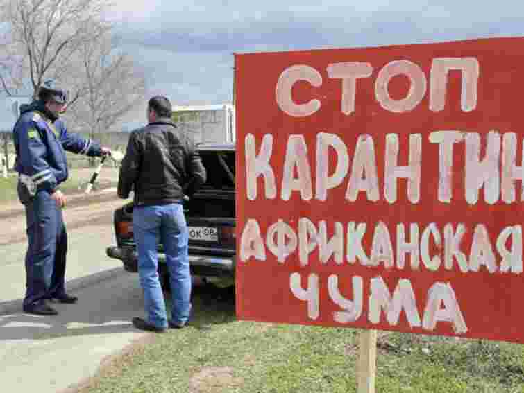 У Луганську локалізували можливий спалах африканської чуми свиней