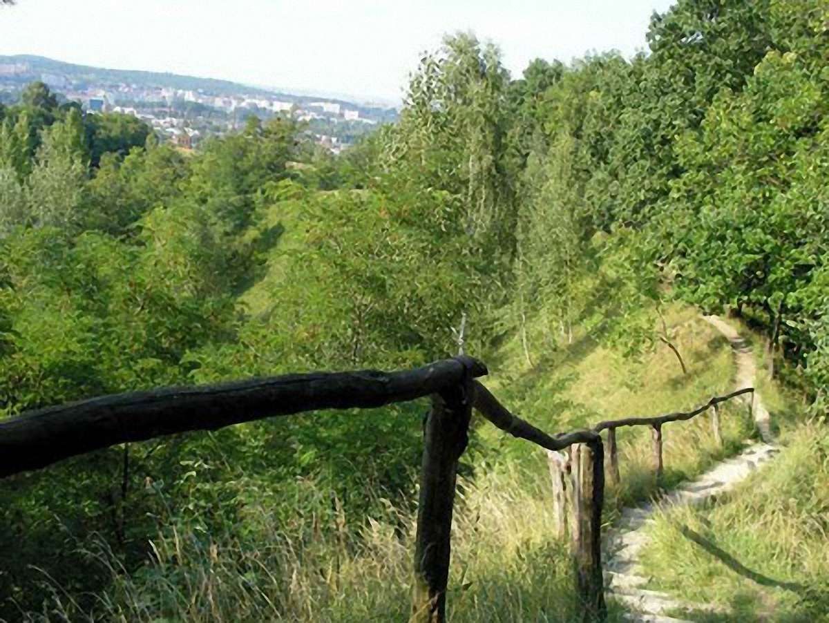 На озеленення парку «Знесіння» витратять 300 тис. грн