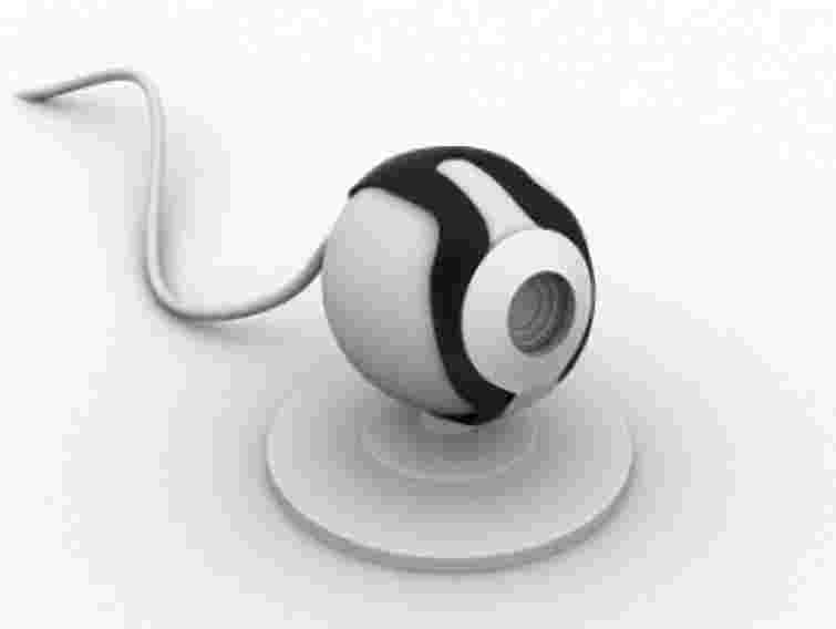 Демократія - це дорога річ, - регіонал про камери на дільницях