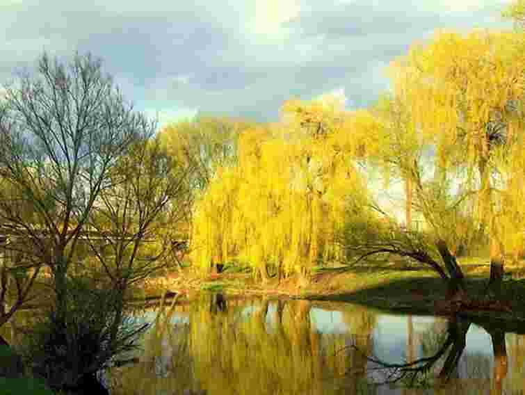 Завтра в Україні очікується до 22 градусів тепла