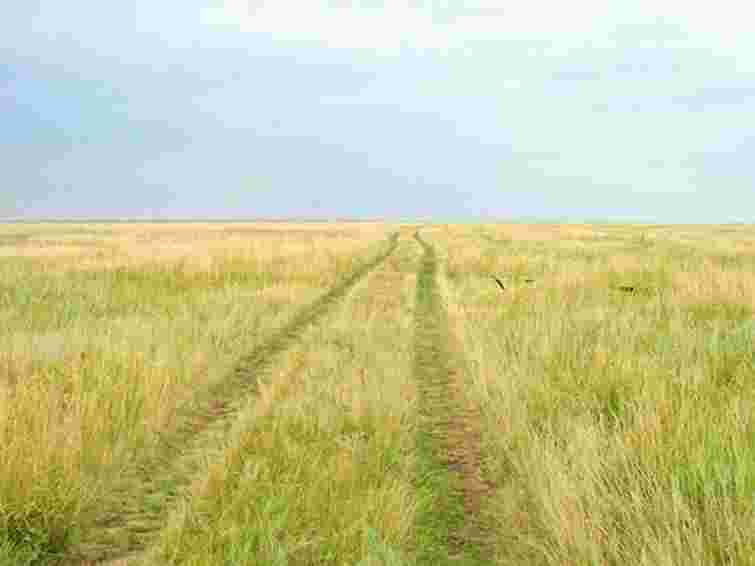 150 га заповідника згоріло через необережність безпритульного