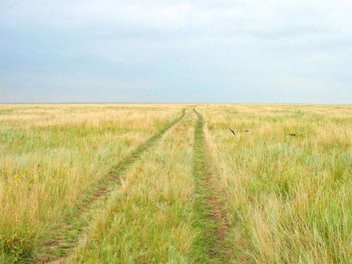 150 га заповідника згоріло через необережність безпритульного