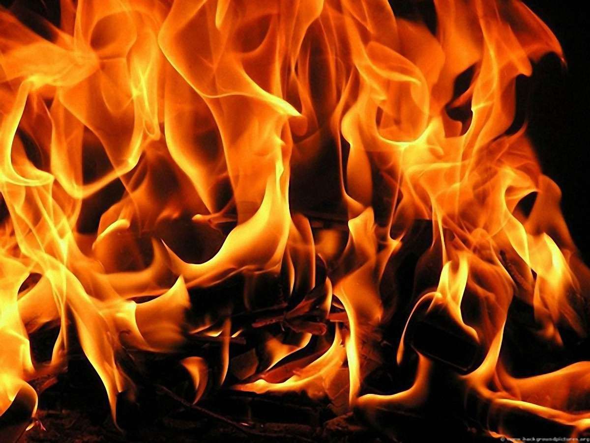 На Львівщині підпалили виборчий штаб Партії регіонів