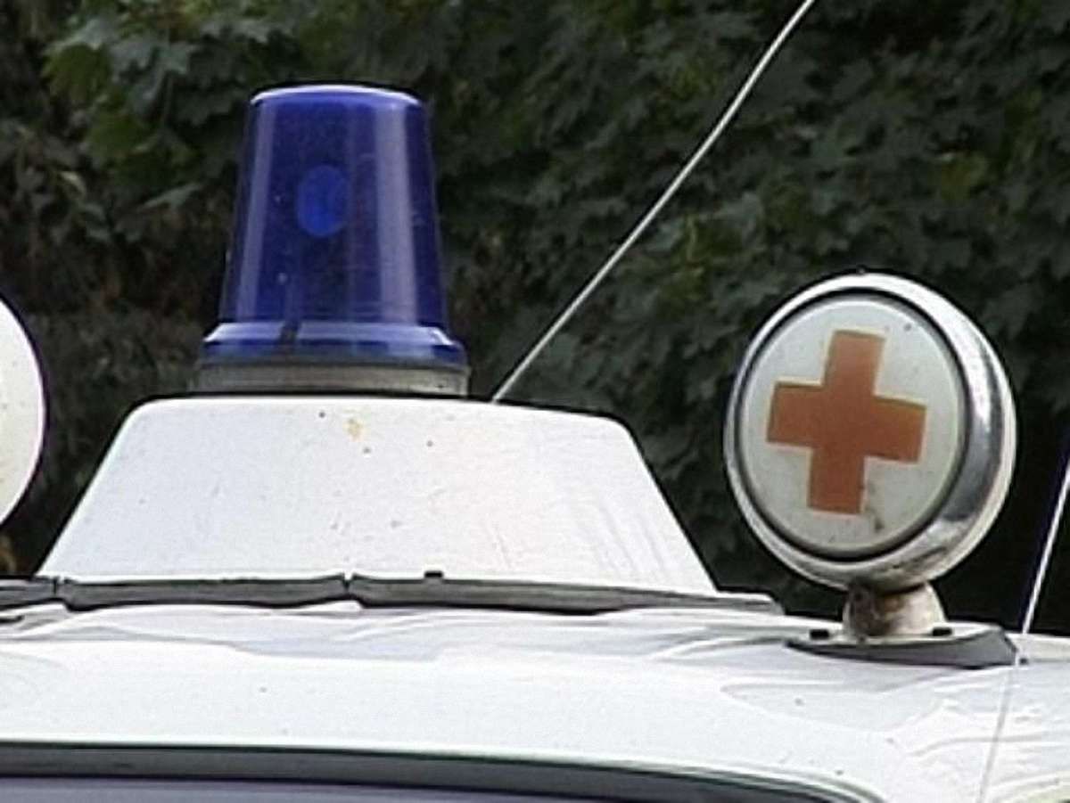 2 дітей померли, отруївшись грибами: їхні батьки і сестра – у важкому стані