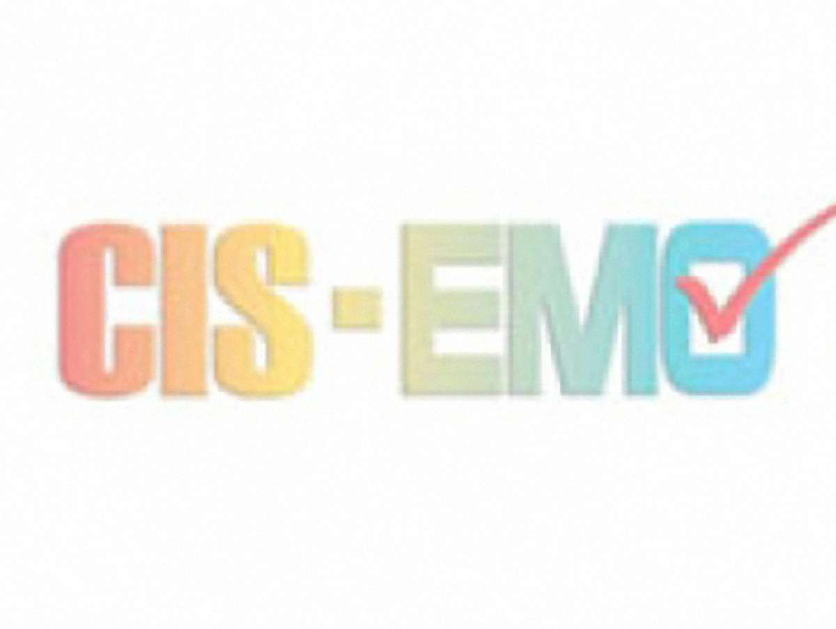 CIS-EMO: Виборчий процес в Україні відбувається демократично