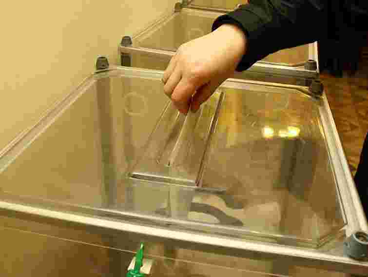 Євроспостерігачі задоволенні проведенням українських виборів