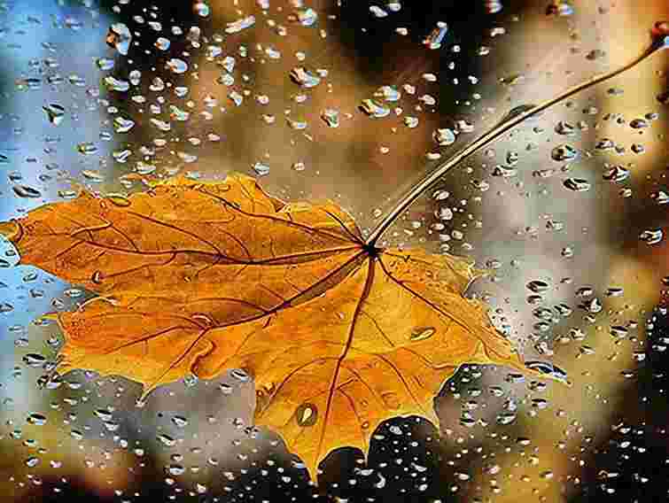 З понеділка на заході України дощитиме