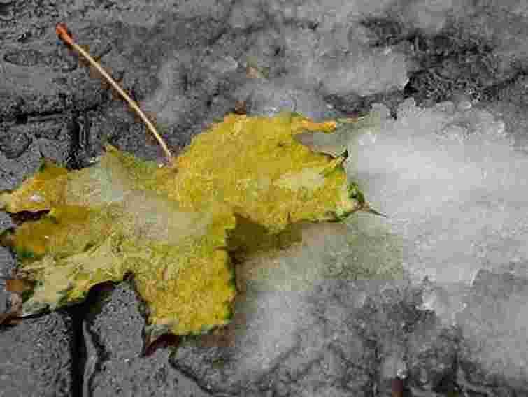 У листопаді Україну снігом не засипле, - Укргідрометцентр