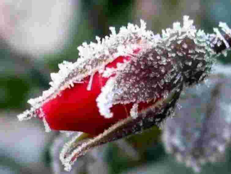 У другій декаді листопада в Україні – суттєве похолодання