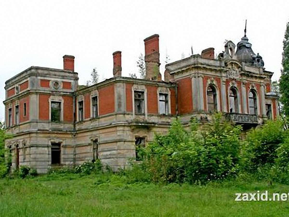 Два замки Львівщини в гіршому стані, ніж до появи концесіонера, – Салюк