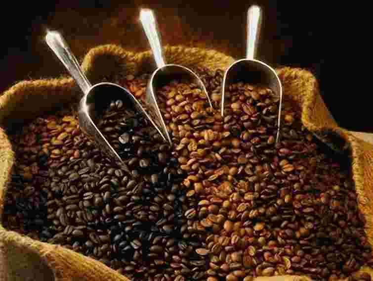 За 70 років на Землі може не лишитися кави, — вчені