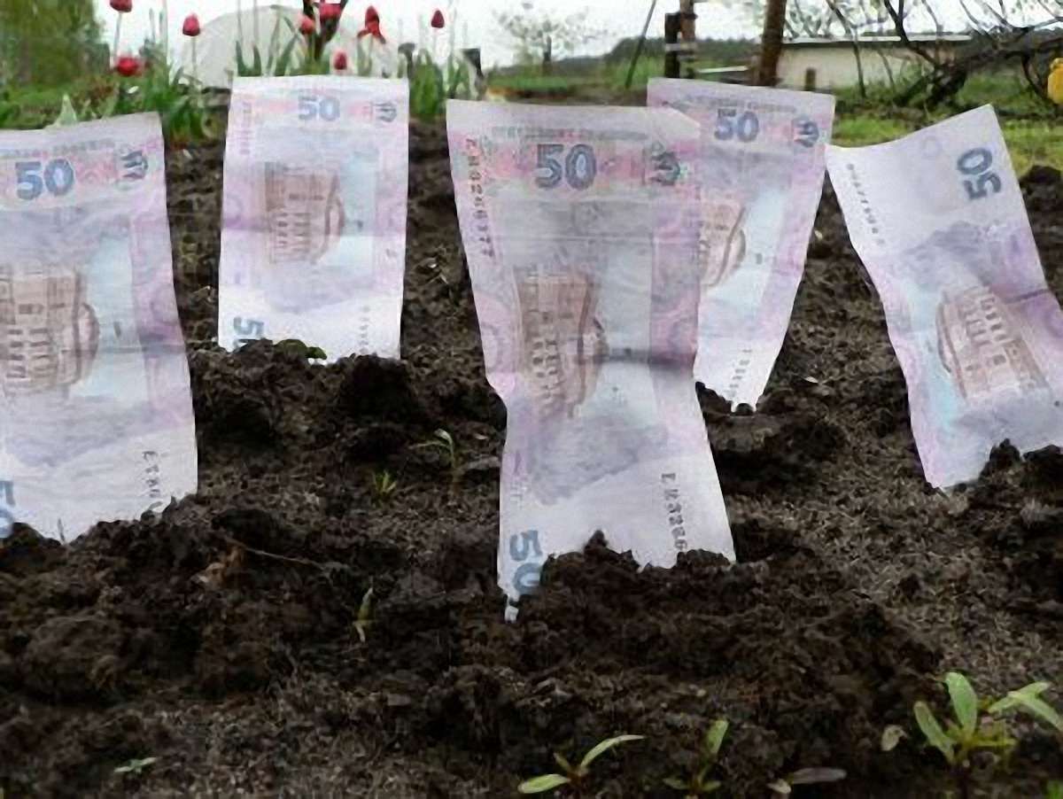 Чиновників Львівщини попередили про відповідальність за дерибан землі