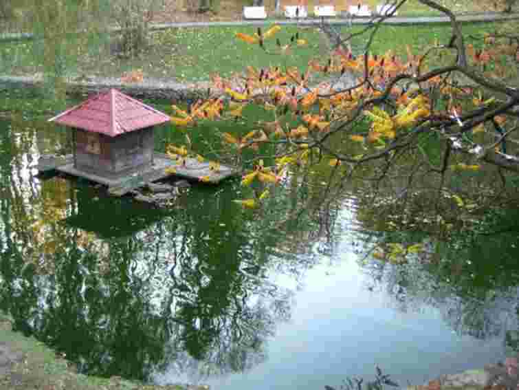 Озеро в Стрийському парку вже очистили від намулу