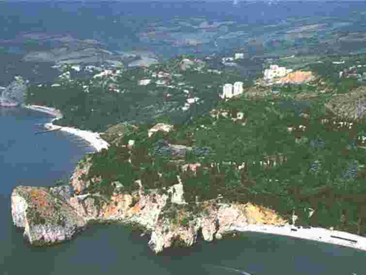 73 дитини з Львівщини вирушили на відпочинок в “Артек”