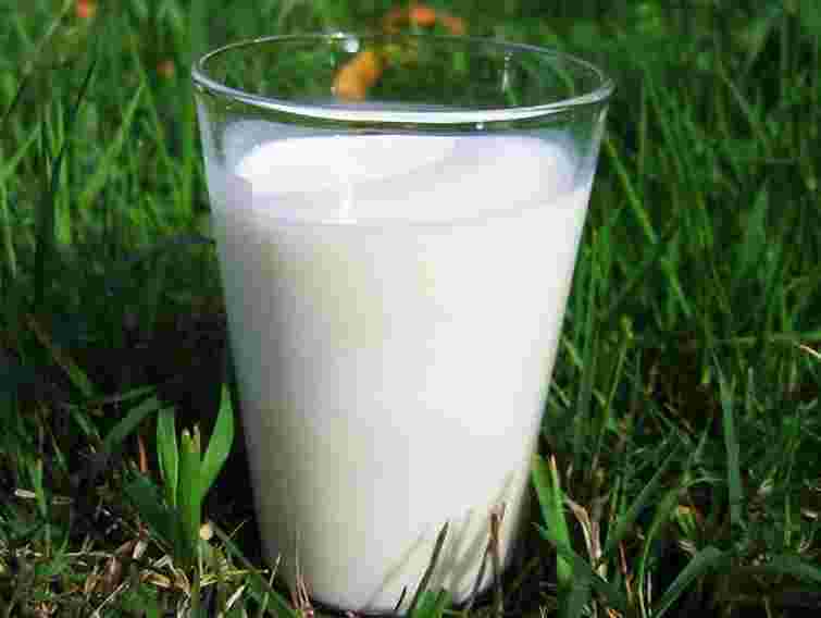 У Львові і Кривому Розі виявили кишкову паличку у молоці