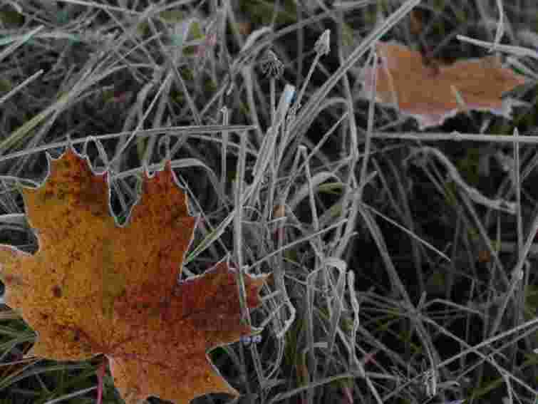 У Карпатах вночі  5-10° морозу